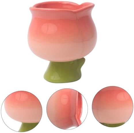 Showeroro Ceramic Dessert Cup with Footed Design