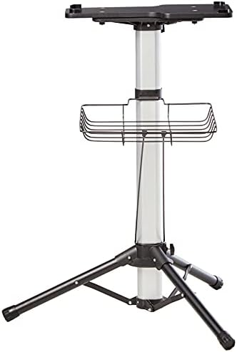 Singer Intelligent Steam Press 26 With Stand White