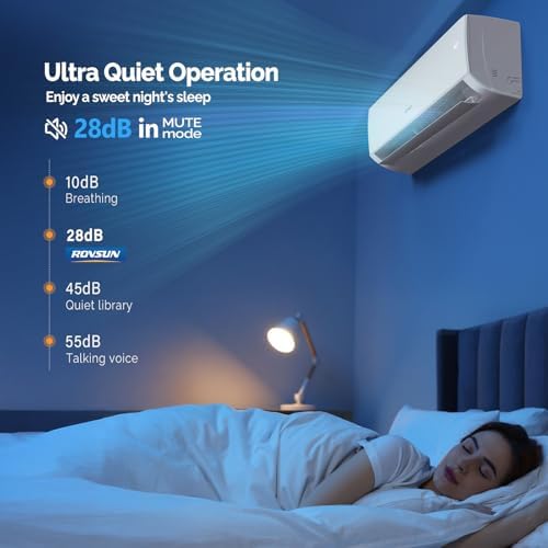 ROVSUN 9000 BTU Mini Split AC Unit with Inverter and Wifi