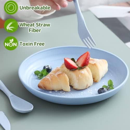 Mfacoy 6 Pack Unbreakable Dinner Plates 10 Inch