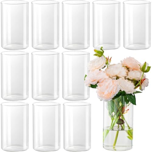 12pcs Glass Cylinder Vases for Centerpieces
