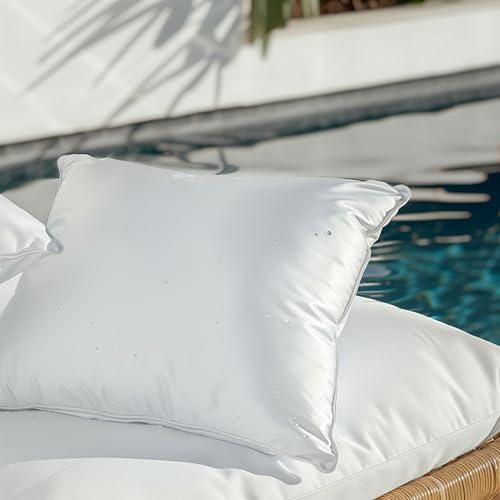 Cloudote Waterproof Pillow Insert 20x20 Decorative Pillow