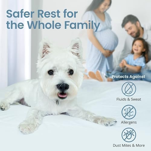 SafeRest Waterproof Queen Mattress Protector Fitted With Stretchable Pockets