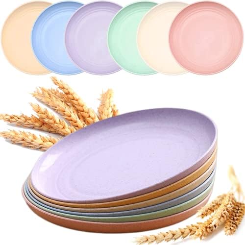 Mfacoy 6 Pack Unbreakable Dinner Plates 10 Inch