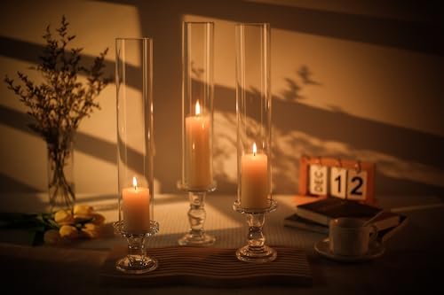 CYS EXCEL 6-Piece Clear Glass Hurricane Candle Holder