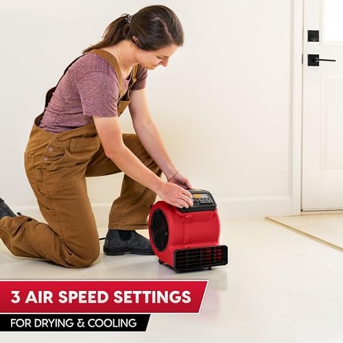 Vacmaster 3 Speed Floor Fan with 12 Feet Reach