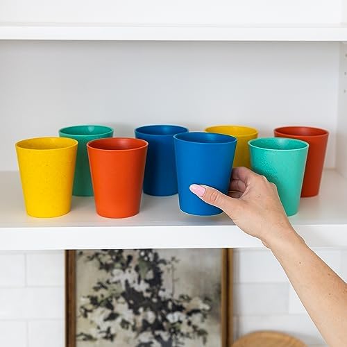 Grow Forward Premium Plastic Kids Cups 13 oz