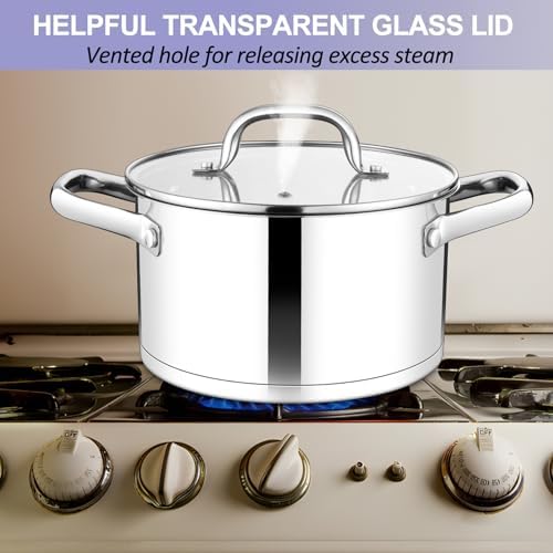 TeamFar 8QT Stock Pot with Lid and Tri-ply Bottom