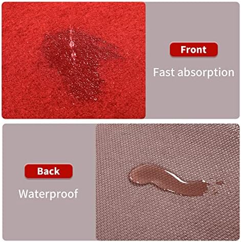 HOMBYS Extra Thick Red Carpet Runner 3x10 ft for Events