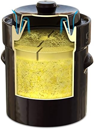 German Style 10 Liter Fermentation Pot with Stone Weight