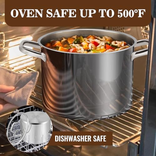 Rorence 8 Qt Stainless Steel Stockpot with Tempered Glass Lid