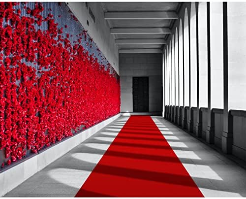 EZLucky Red Carpet Runner for Party and Events