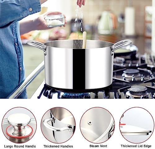 LIANYU 8QT Stainless Steel Stock Pot with Lid