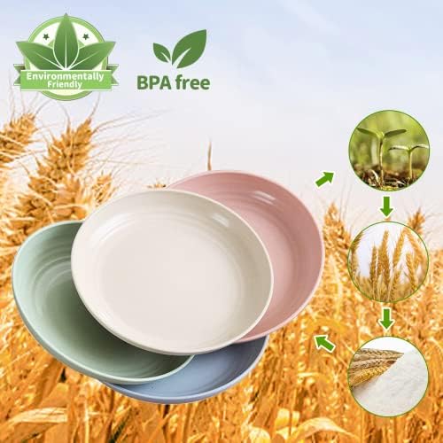 Mfacoy 6 Pack Unbreakable Dinner Plates 10 Inch