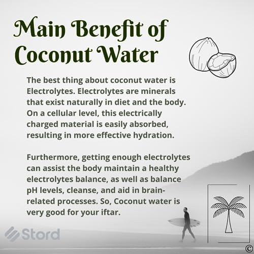 S STORD Coconut Opener - Fast Safe and Easy to Use