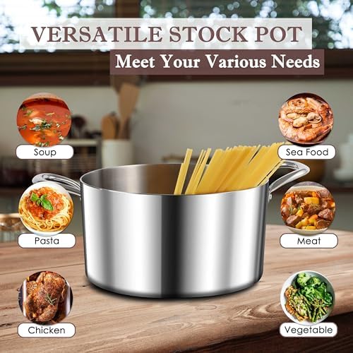 Herogo 8 Quart Stainless Steel Stock Pot with Lid