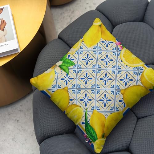 Yarcooly Summer Lemon Throw Pillow Covers