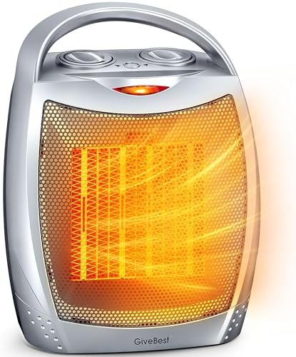 GiveBest Portable Electric Heater with Thermostat