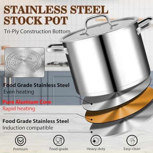 Rorence 8 Qt Stainless Steel Stockpot with Tempered Glass Lid