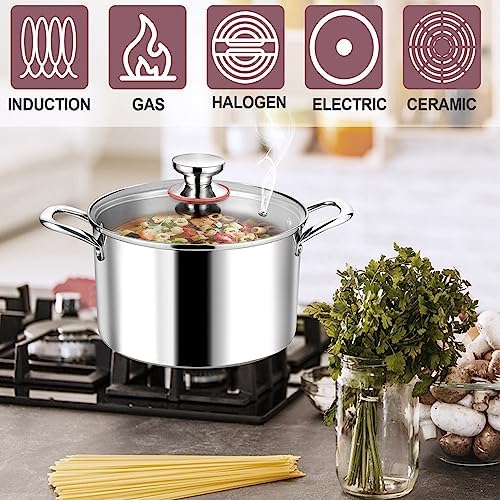 LIANYU 8QT Stainless Steel Stock Pot with Lid