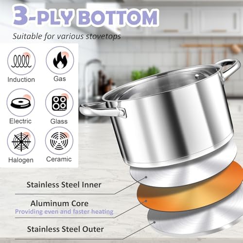 TeamFar 8QT Stock Pot with Lid and Tri-ply Bottom