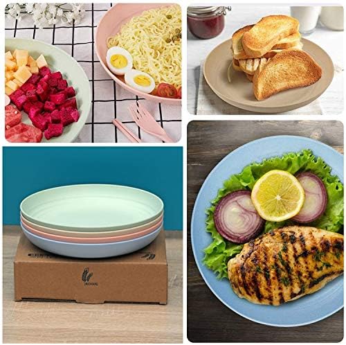 WANBY Lightweight Wheat Straw Plates Unbreakable Dinnerware Set 8 Pack