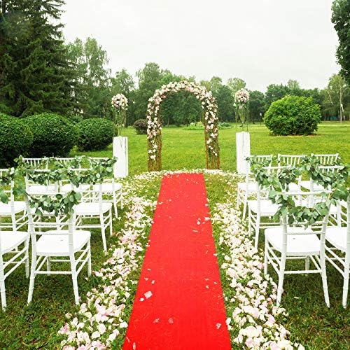 Shappy Red Carpet Runner Rug for Party 26x30 Feet