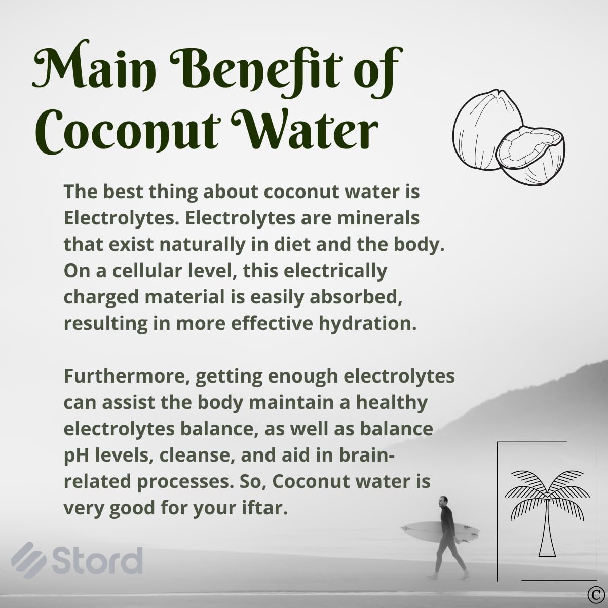 S STORD Coconut Opener - Fast Safe and Easy to Use