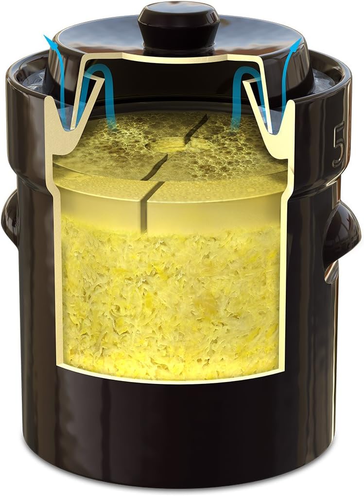 German Style 10 Liter Fermentation Pot with Stone Weight