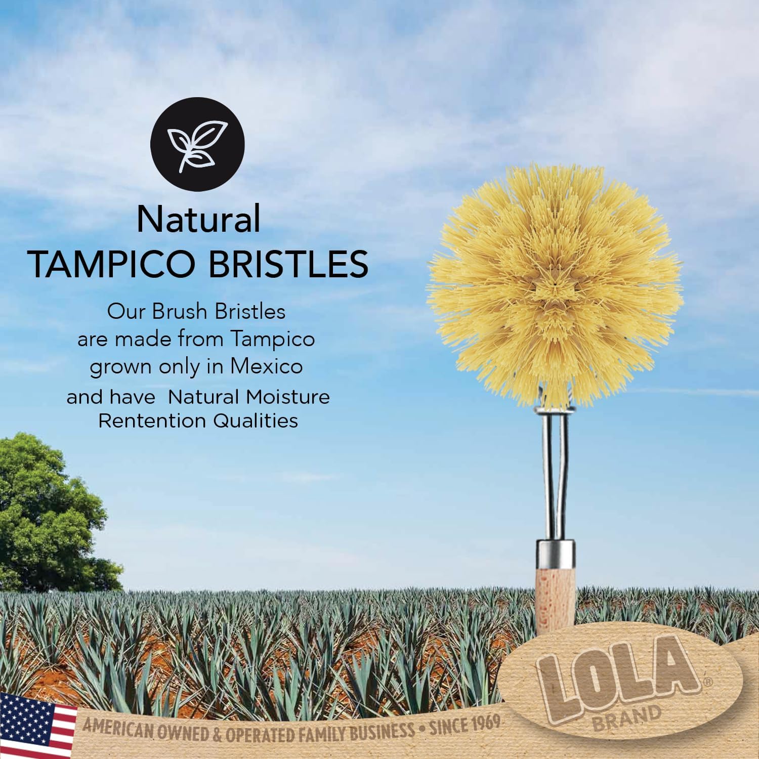 Lola Products Tampico Vegetable Dish Brush