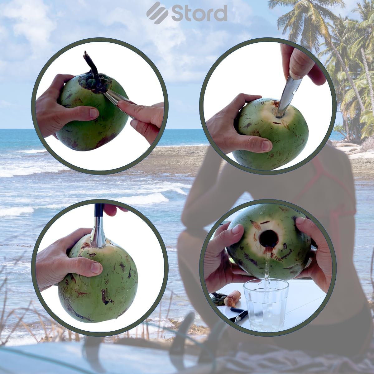 S STORD Coconut Opener - Fast Safe and Easy to Use