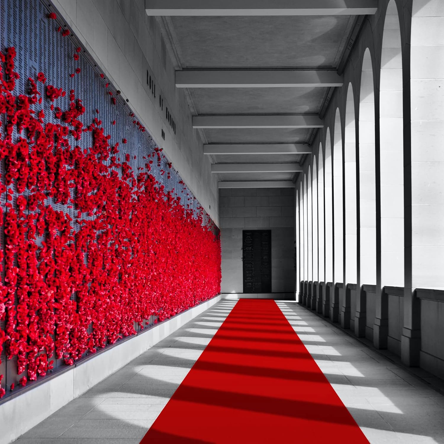 EZLucky Red Carpet Runner for Party 26X15 ft