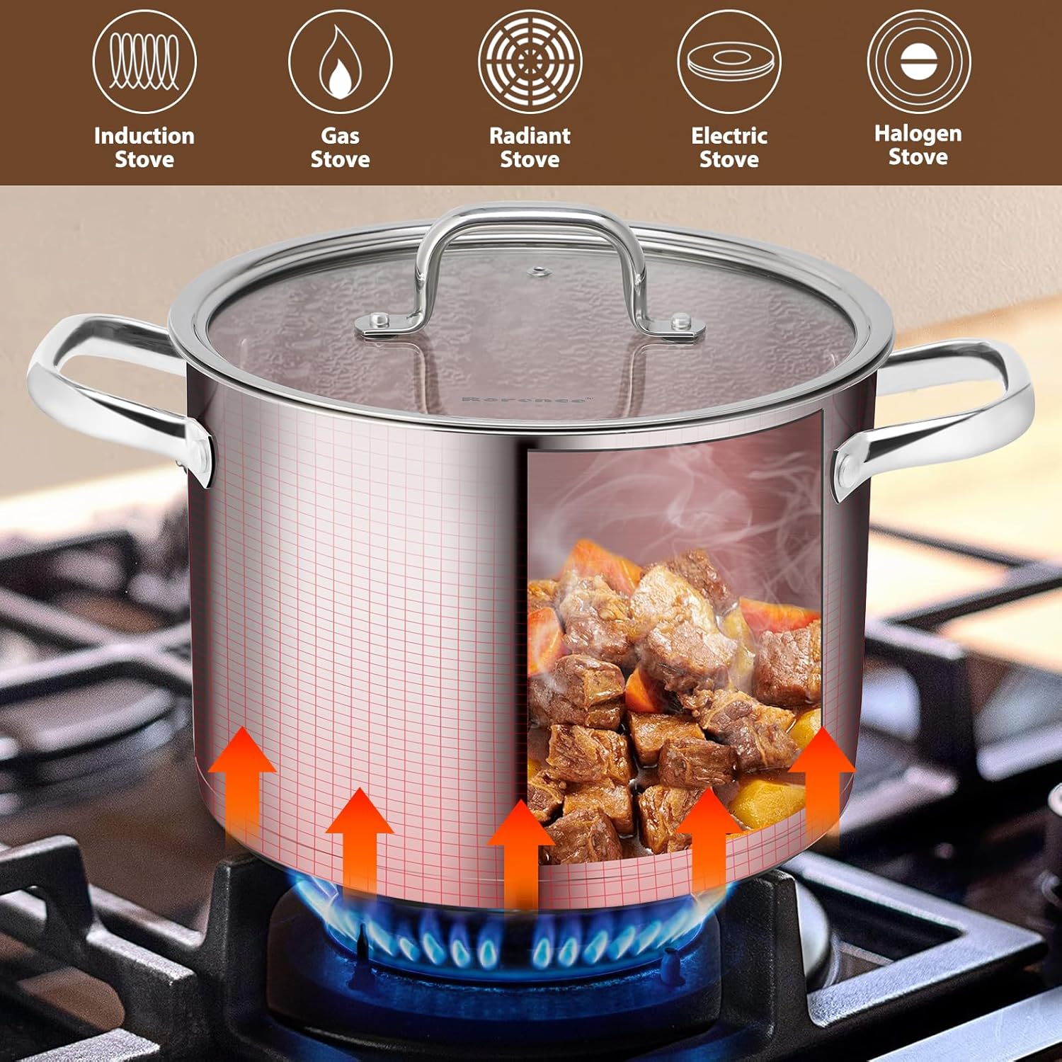 Rorence 8 Qt Stainless Steel Stockpot with Tempered Glass Lid